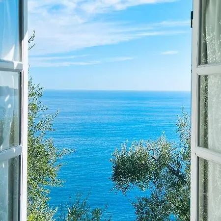 Casa *